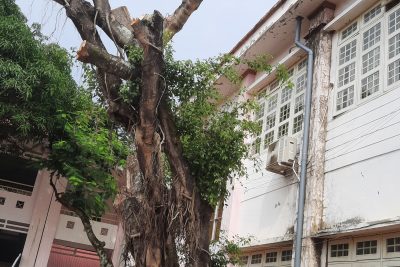 Tu sửa cơ sở vật chất đầu hè 2023