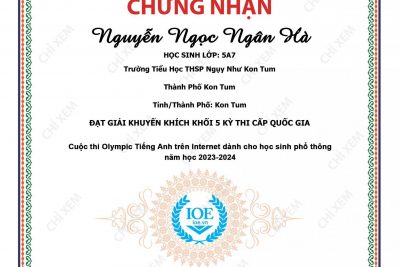 VINH DANH HỌC SINH TRONG KỲ THI IOE CẤP QUỐC GIA